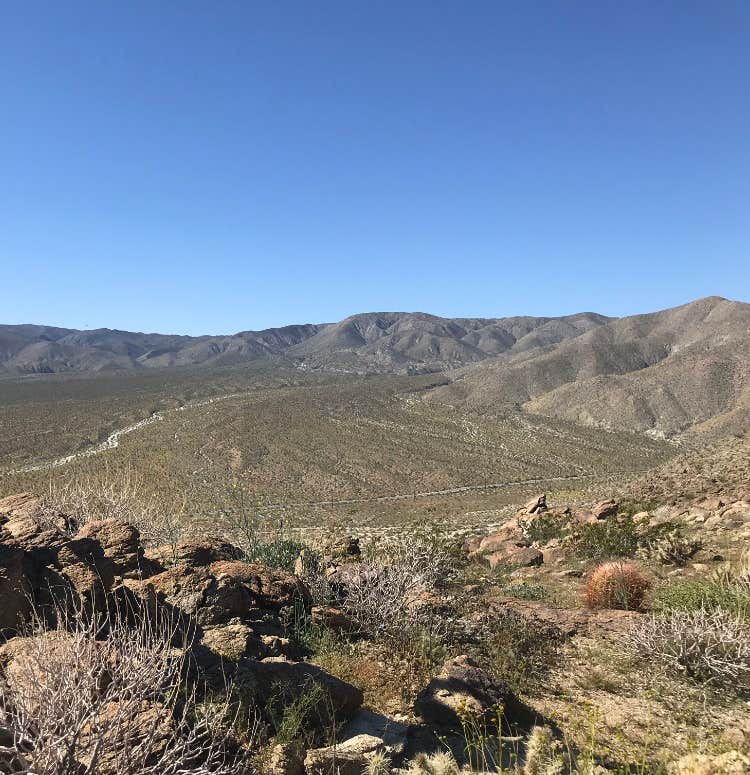 Camper submitted image from Yaqui Well Primitive Campground — Anza-Borrego Desert State Park - 2