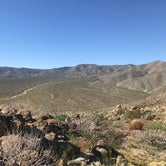 Review photo of Yaqui Well Primitive Campground — Anza-Borrego Desert State Park by Morgan C., May 4, 2019