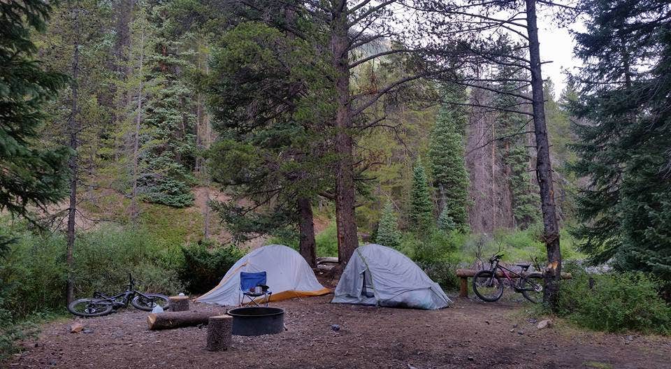 Camper submitted image from Oh Be Joyful Recreation Area - 3