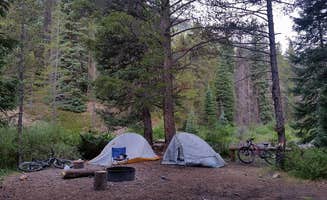 Beth W.'s photo at Oh Be Joyful Campground near Crested Butte, CO