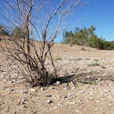 Review photo of Lower Ridge Road — Elephant Butte Lake State Park by Thomas B., May 5, 2019