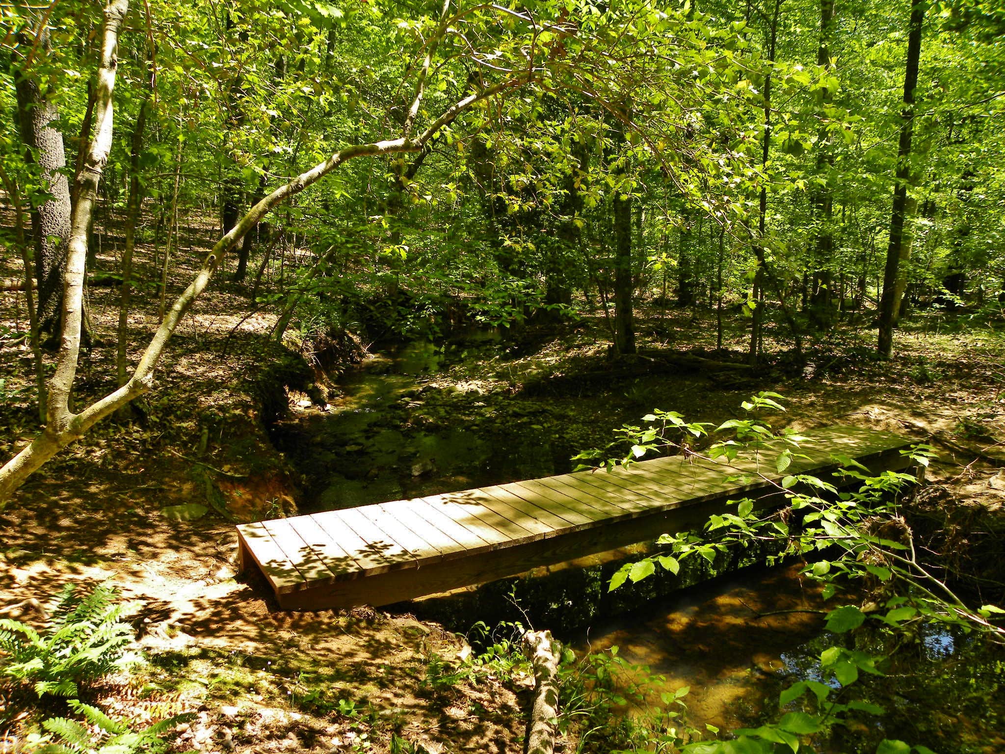 Camper-submitted photo at Eno River State Park Campground near Burlington, NC