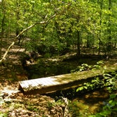 Review photo of Eno River State Park Campground by Myron C., May 5, 2019