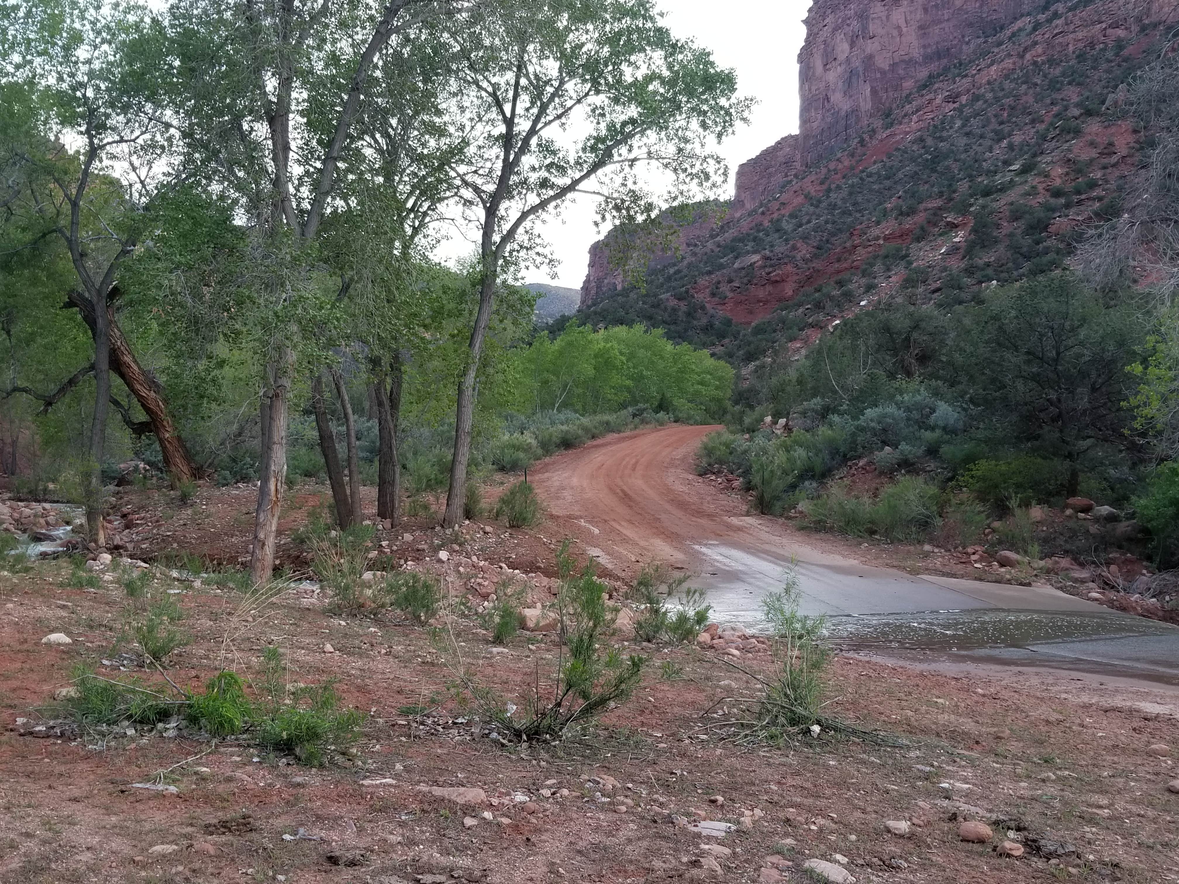 Camper submitted image from Gateway Recreation Area Dispersed, BLM - 3