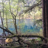 Review photo of Fairholme Campground — Olympic National Park by Asuka S., May 5, 2019