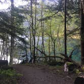 Review photo of Fairholme Campground — Olympic National Park by Asuka S., May 5, 2019