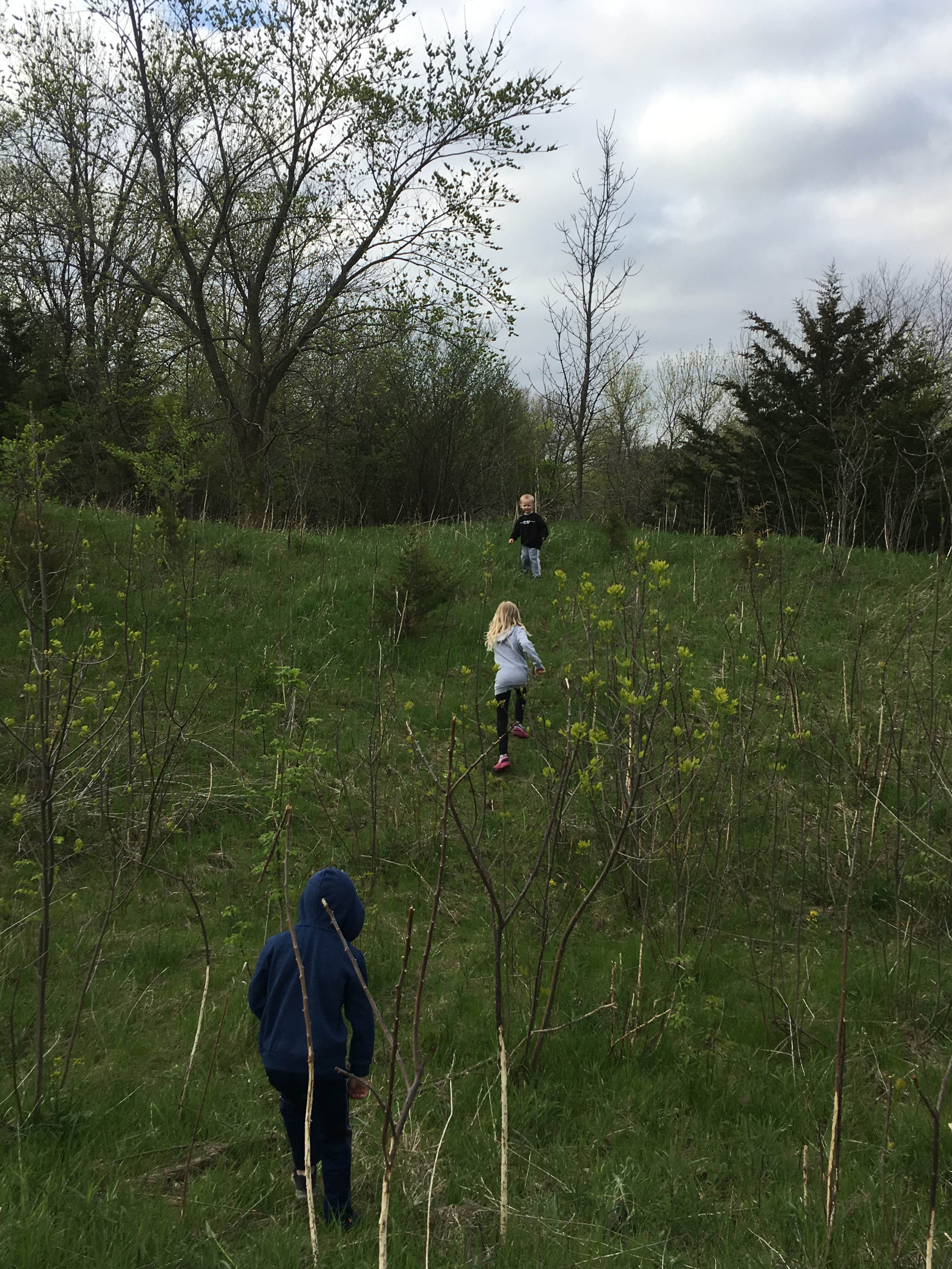 Camper-submitted photo at Prairie Rose State Park Campground near Pisgah, IA