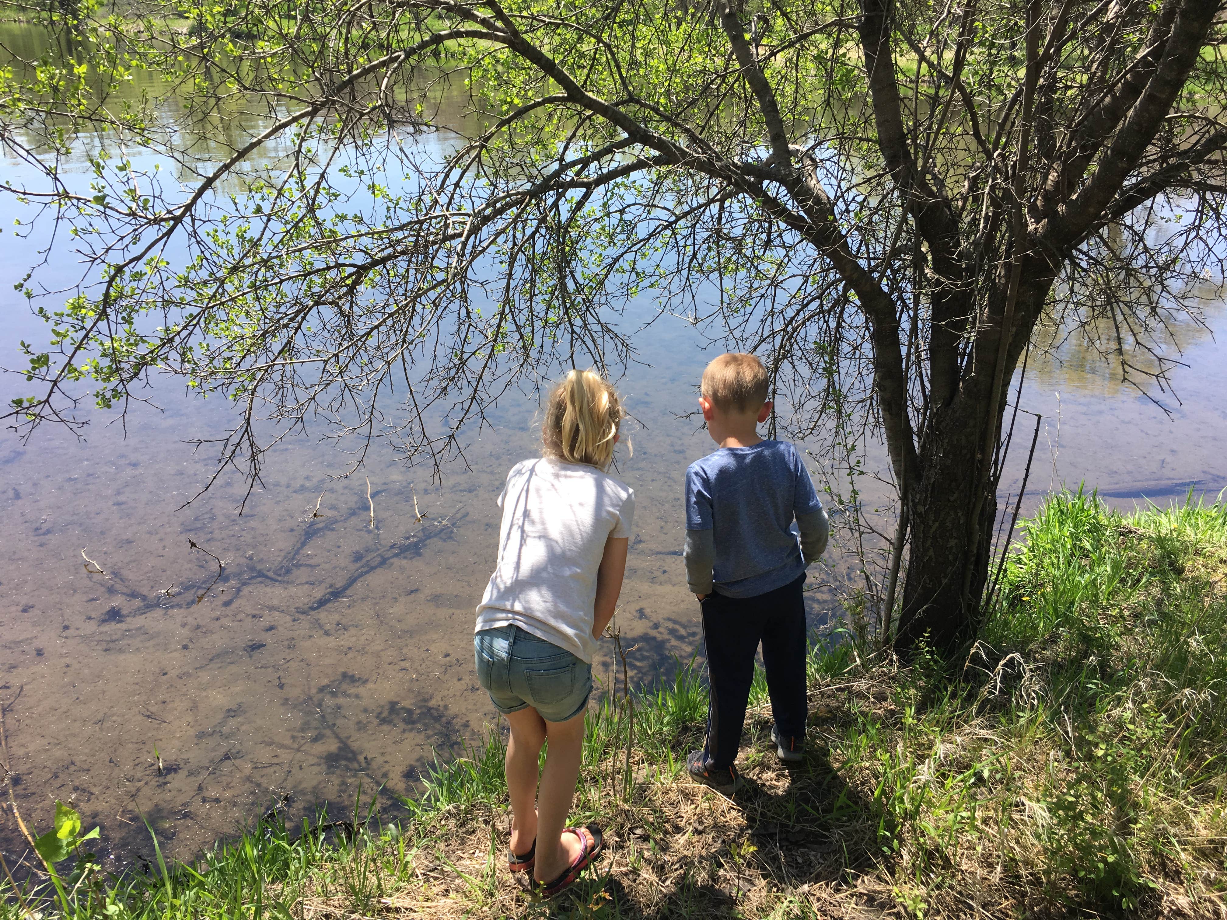 Camper-submitted photo at Prairie Rose State Park Campground near Atlantic, IA