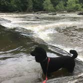 Review photo of Sweetwater Creek State Park Campground by Andrew P., May 6, 2019