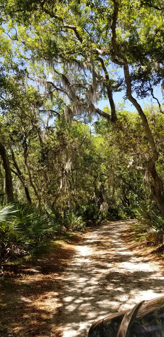 Camper submitted image from Princess Place Preserve - 4