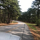 Review photo of Sequoyah Bay Marina and Cabins — Sequoyah Bay State Park by Kristen V., May 6, 2019