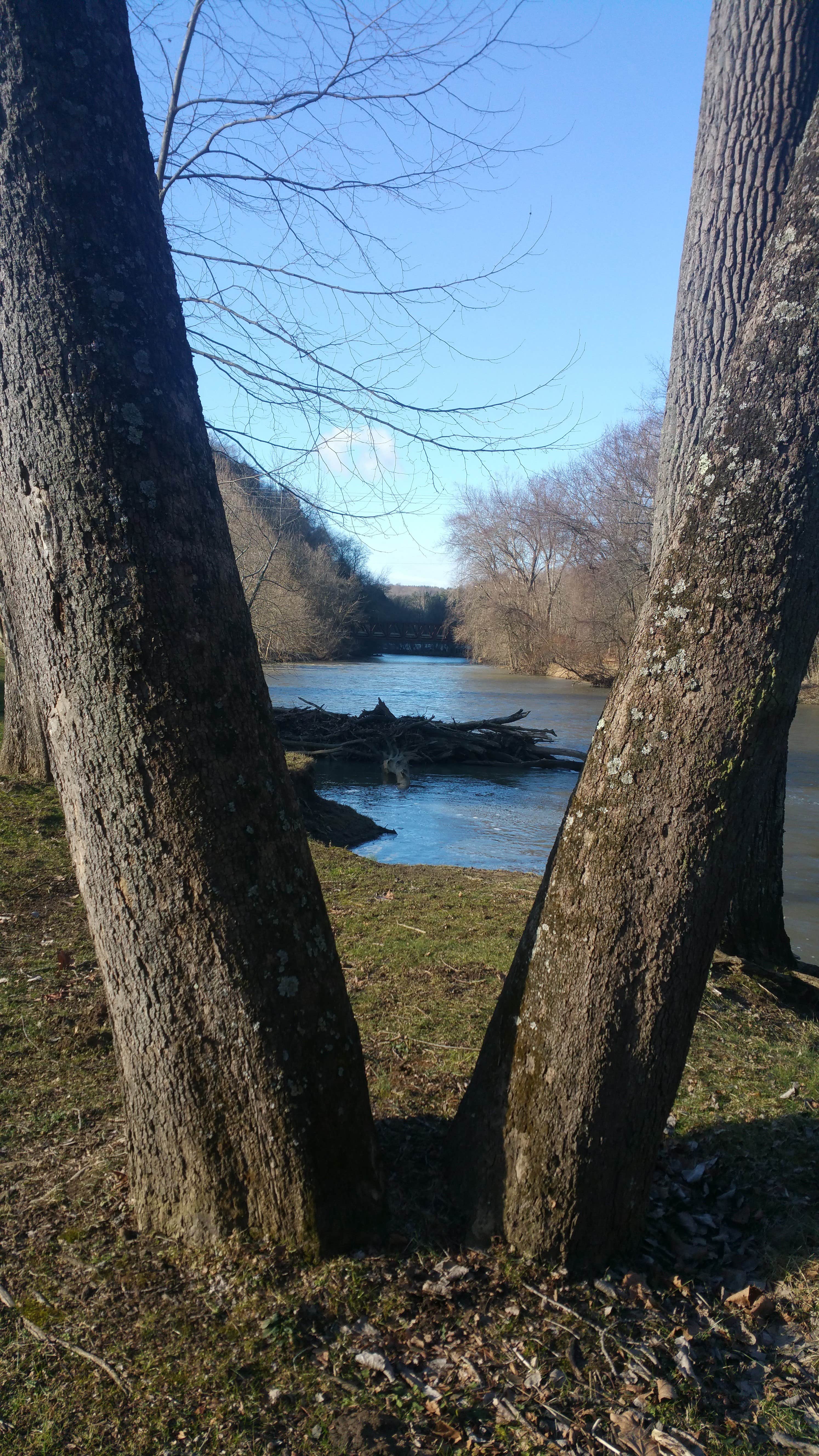 Nature