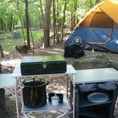 Review photo of Pilot Mountain State Park Campground — Pilot Mountain State Park by Mary M., May 6, 2019