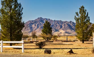Camping near Sunny Flat Campground: Rusty's RV Ranch, Rodeo, New Mexico