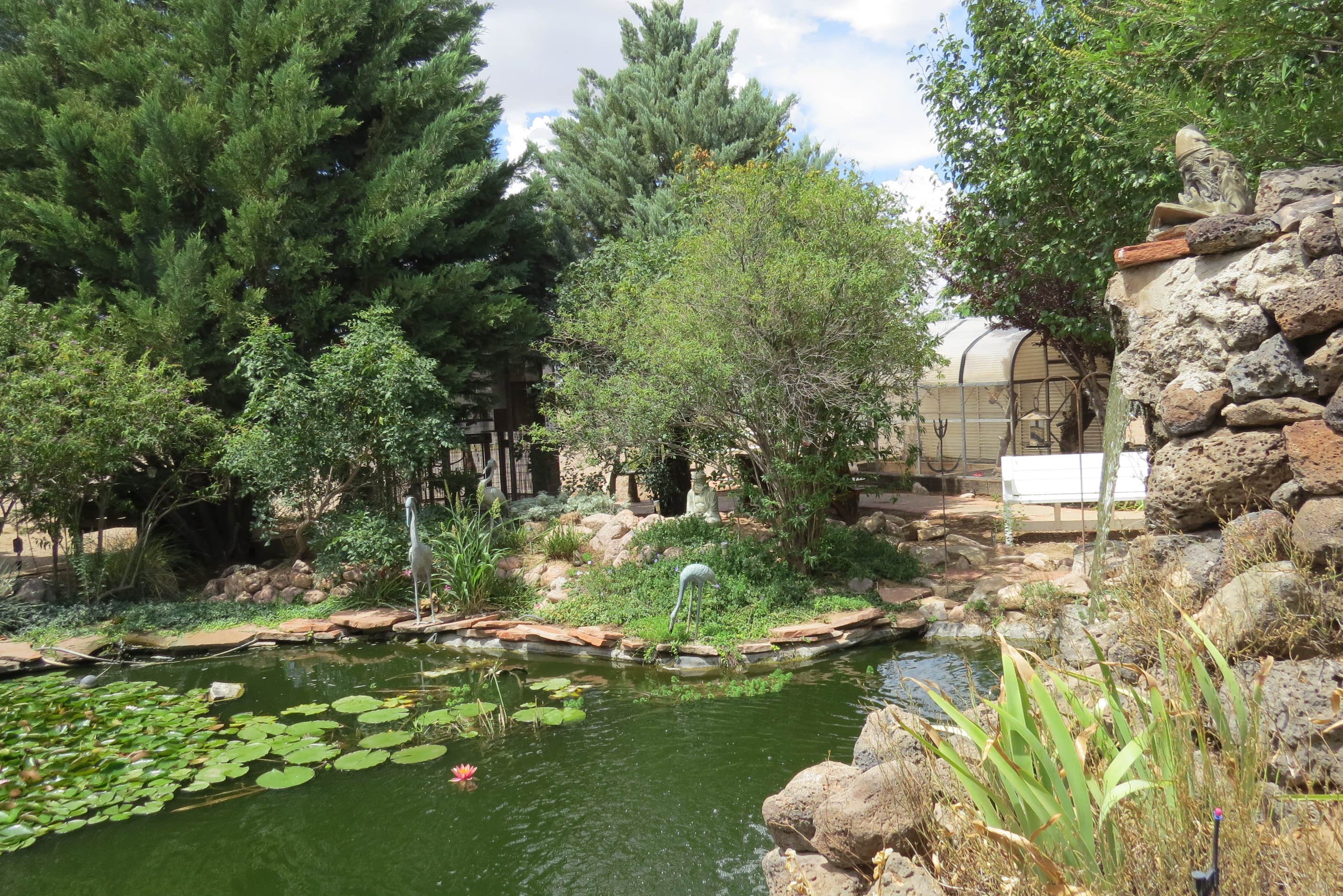 Camper-submitted photo at Rusty's RV Ranch near Animas, NM