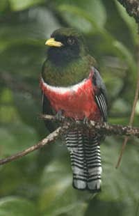 Camper-submitted photo at Rusty's RV Ranch near Animas, NM