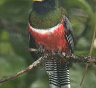 THE 10+ BEST RV Parks in New Mexico