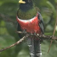 THE 10+ BEST RV Parks in New Mexico