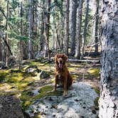 Review photo of Kenosha Pass Campground by Karl G., May 6, 2019