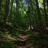Review photo of Little River State Park Campground by Rita M., August 29, 2016