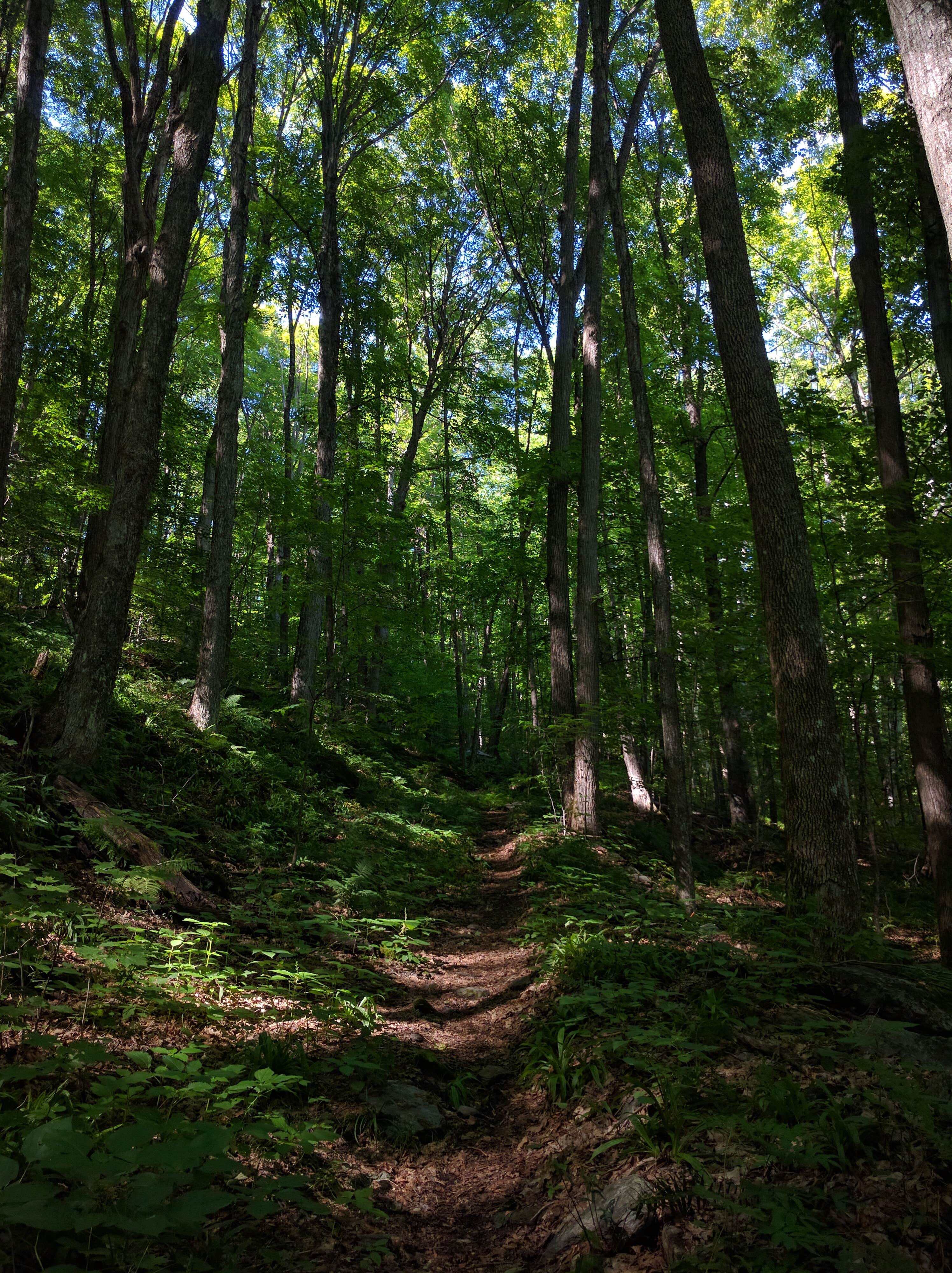 Camper submitted image from Little River State Park Campground - 2