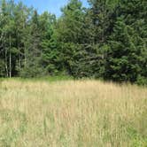 Review photo of Langlade County Veterans Memorial Park by Jimmy P., July 31, 2015