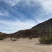 Review photo of Ocotillo Wells State Vehicular Recreation Area by Jennifer D., May 6, 2019