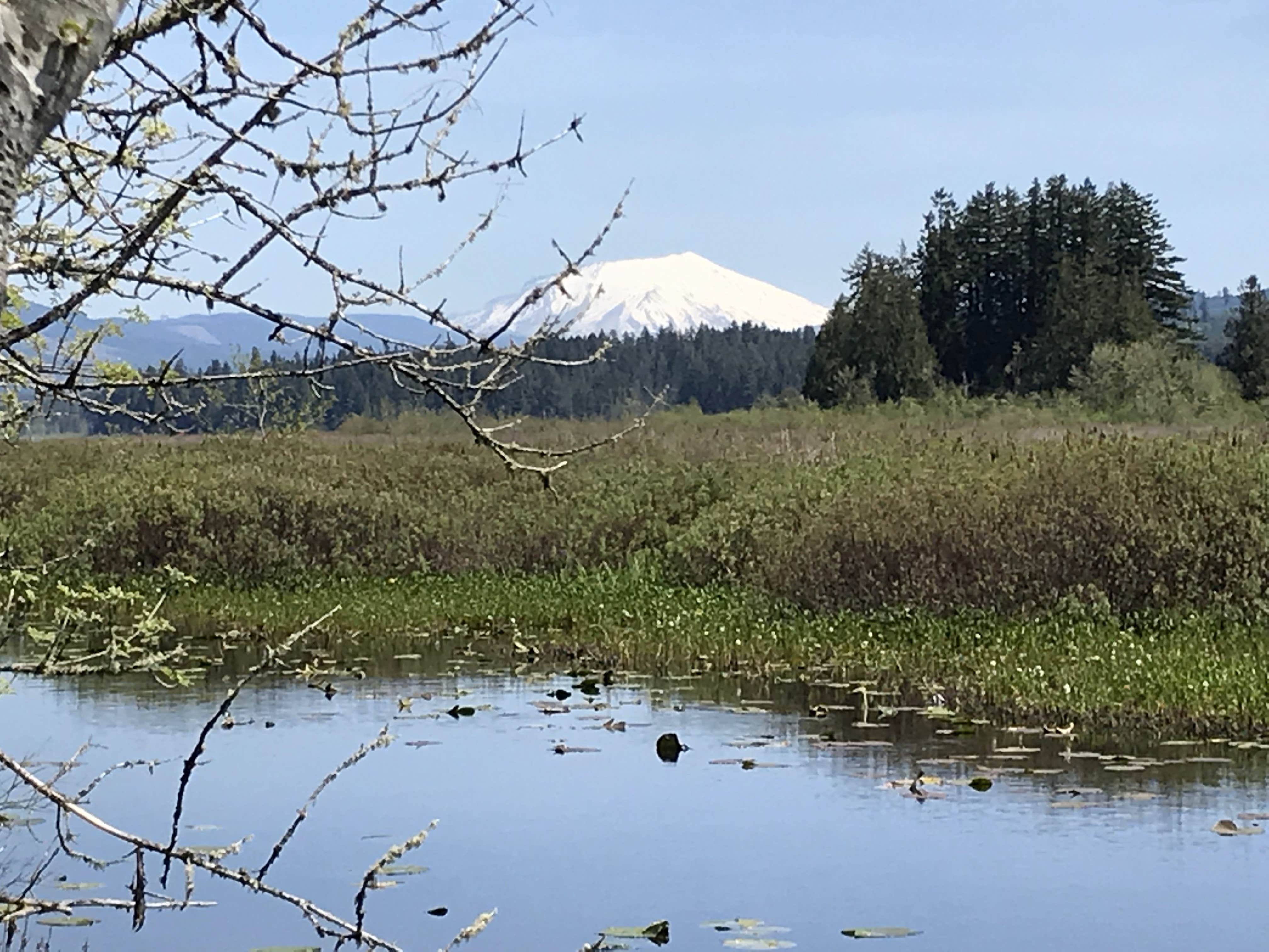 Camper-submitted photo at Seaquest State Park Campground near Woodland, WA