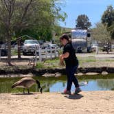 Review photo of Thousand Trails Wilderness Lakes RV Resort by Jennifer D., May 6, 2019