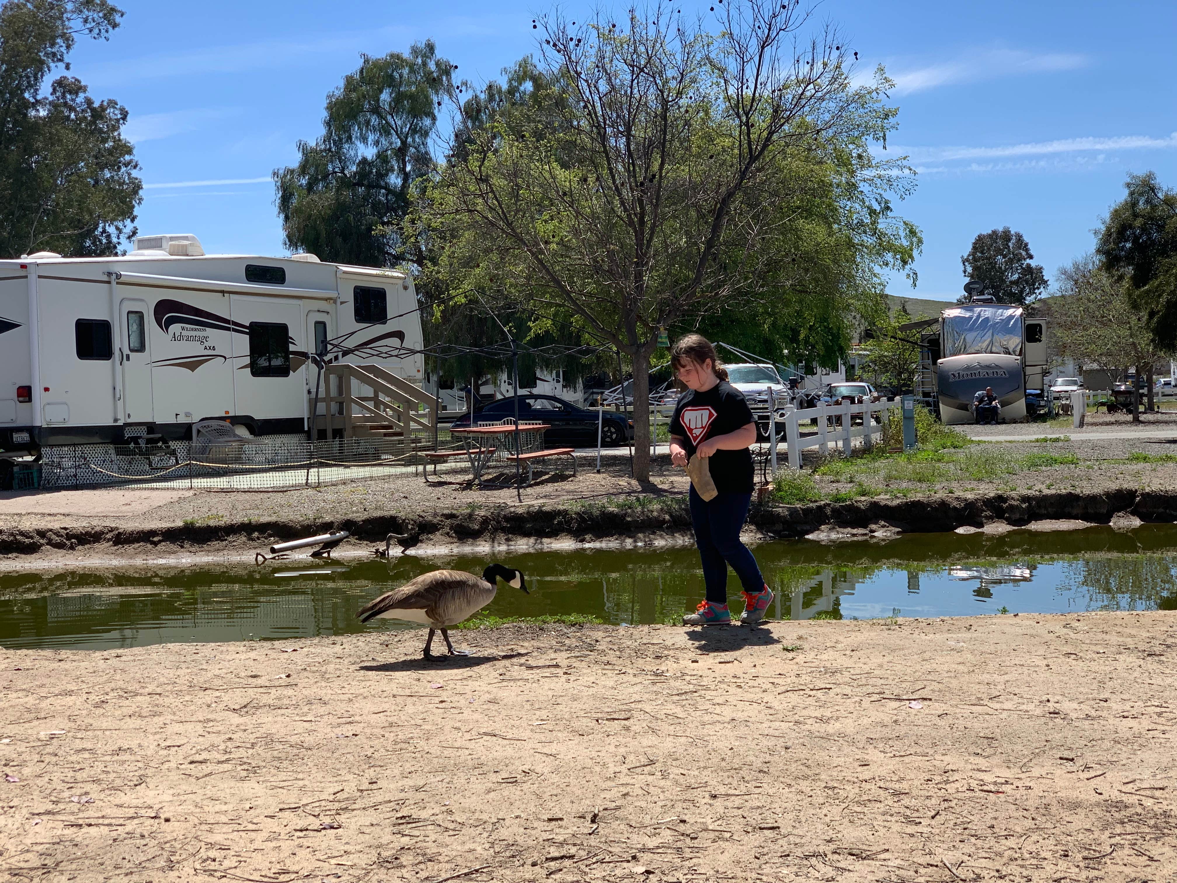Jennifer D.'s photo of rv camping at Thousand Trails Wilderness Lakes RV Resort near Mountain Center, CA
