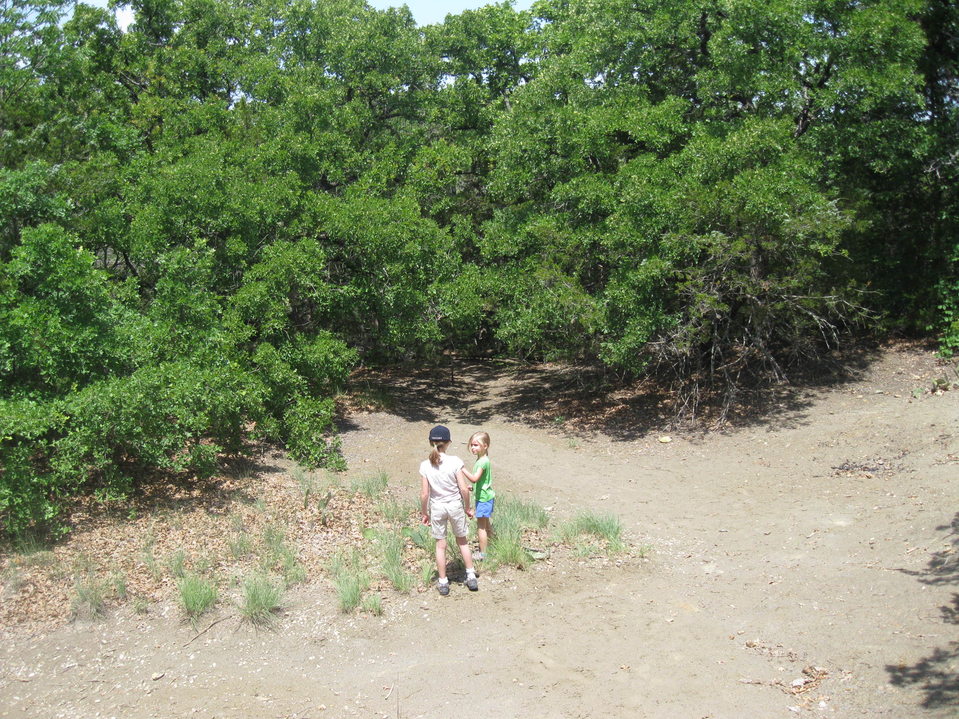 Camper submitted image from Cedar Hill State Park Campground - 5