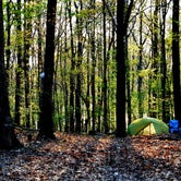 Review photo of New Hope Overlook Primitive Campground — Jordan Lake State Recreation Area by Myron C., May 6, 2019