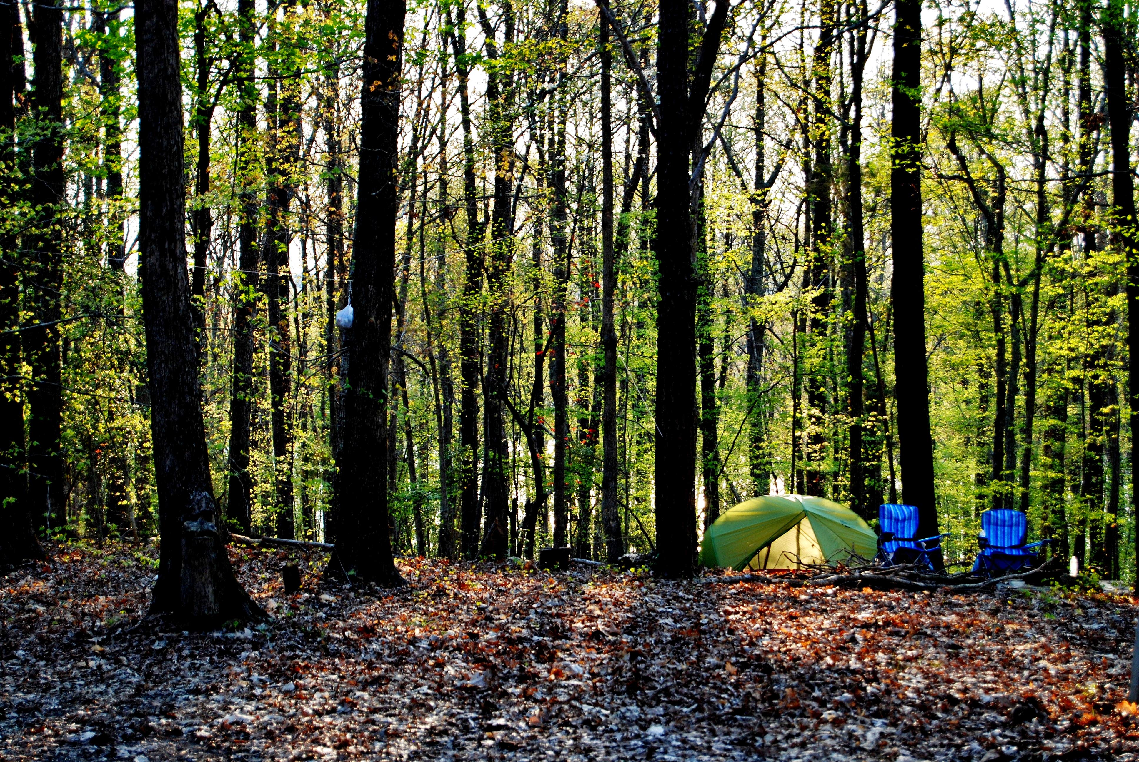 Camper submitted image from New Hope Overlook Primitive Campground — Jordan Lake State Recreation Area - 2
