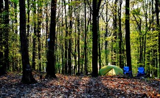Myron C.'s photo at New Hope Overlook Primitive Campground — Jordan Lake State Recreation Area near Hillsborough, NC