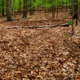 Review photo of New Hope Overlook Primitive Campground — Jordan Lake State Recreation Area by Myron C., May 6, 2019