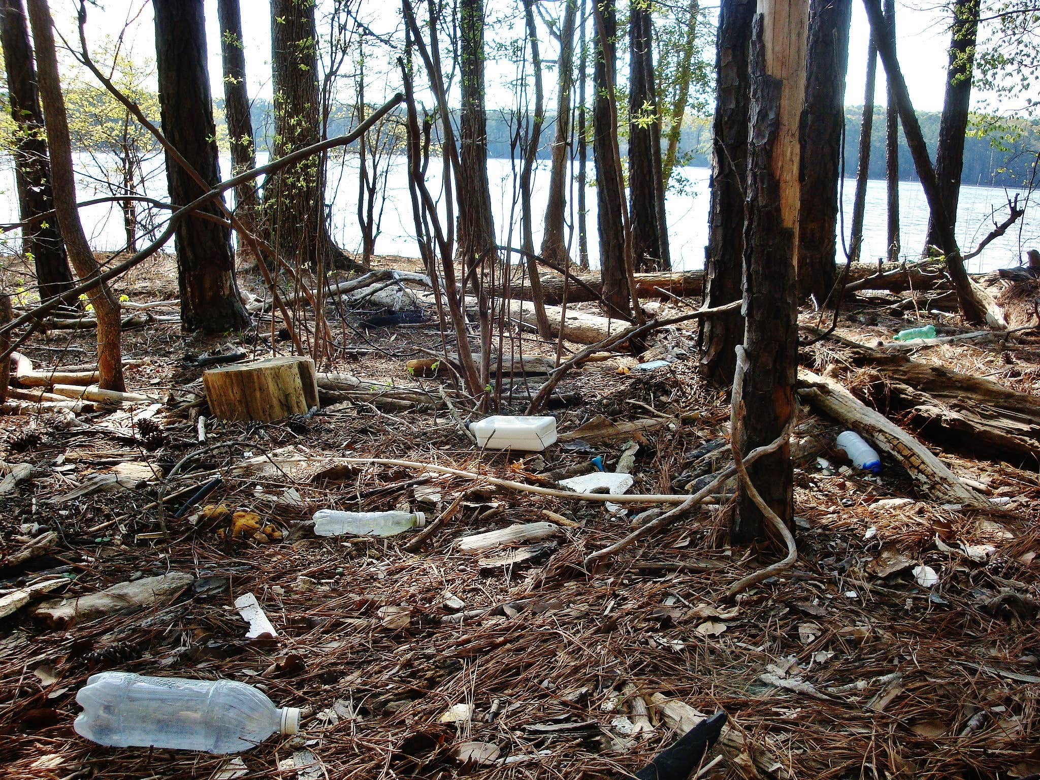 Camper-submitted photo at New Hope Overlook Primitive Campground — Jordan Lake State Recreation Area near B. Everett Jordan Lake