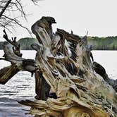 Review photo of New Hope Overlook Primitive Campground — Jordan Lake State Recreation Area by Myron C., May 6, 2019