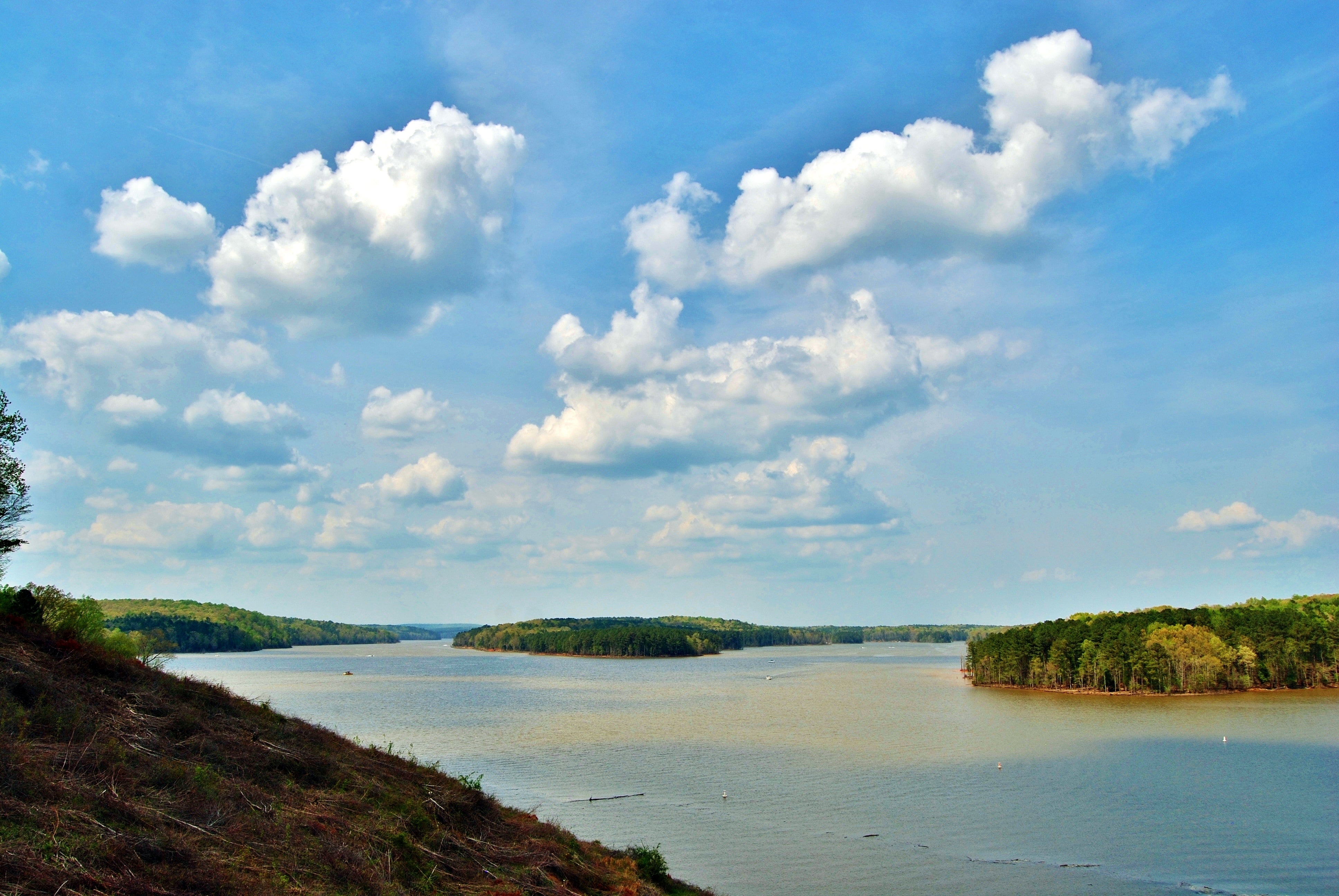 Camper submitted image from New Hope Overlook Primitive Campground — Jordan Lake State Recreation Area - 3