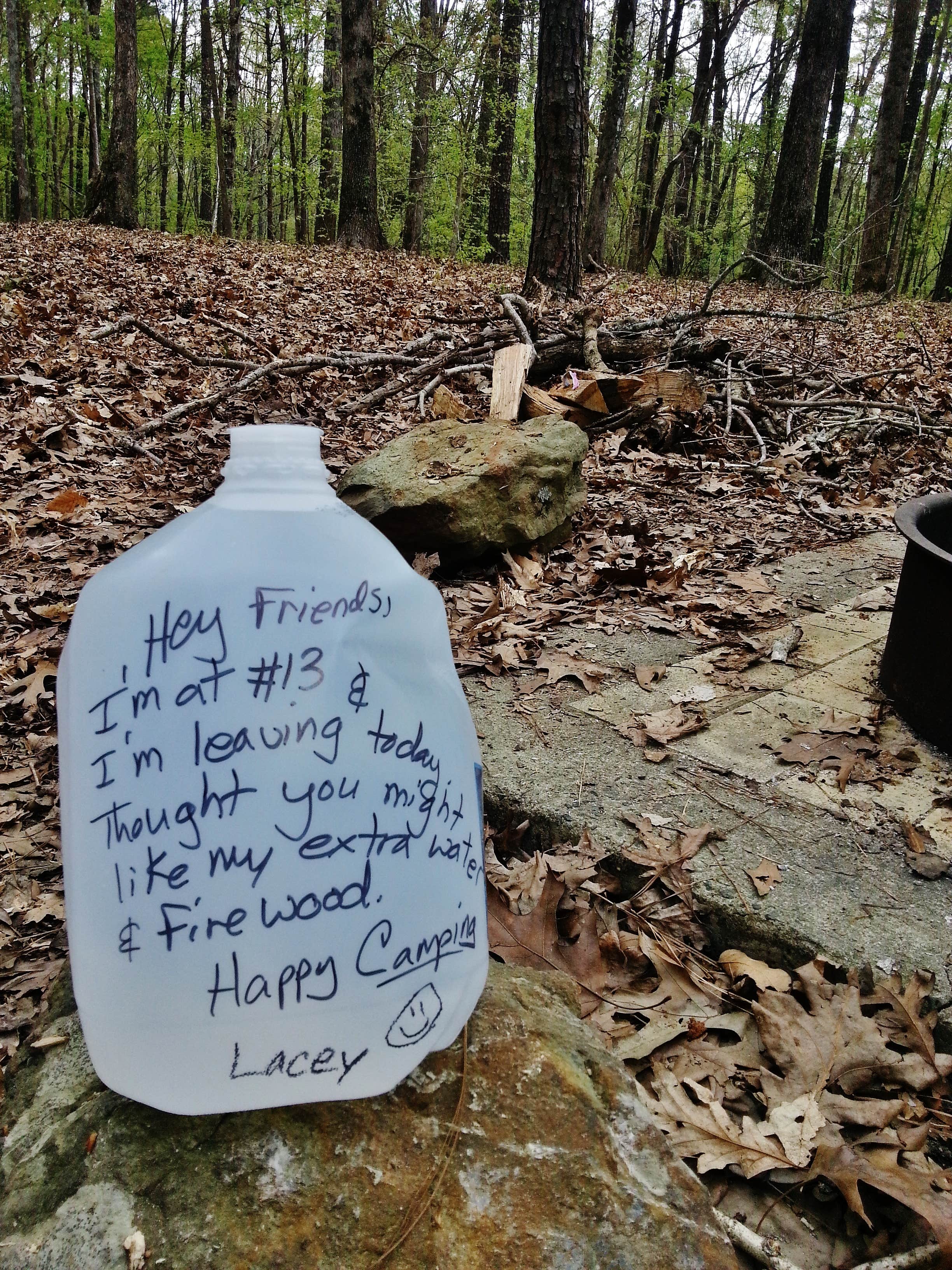 Camper-submitted photo at New Hope Overlook Primitive Campground — Jordan Lake State Recreation Area near B. Everett Jordan Lake