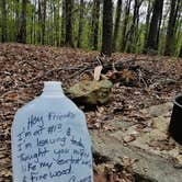 Review photo of New Hope Overlook Primitive Campground — Jordan Lake State Recreation Area by Myron C., May 6, 2019