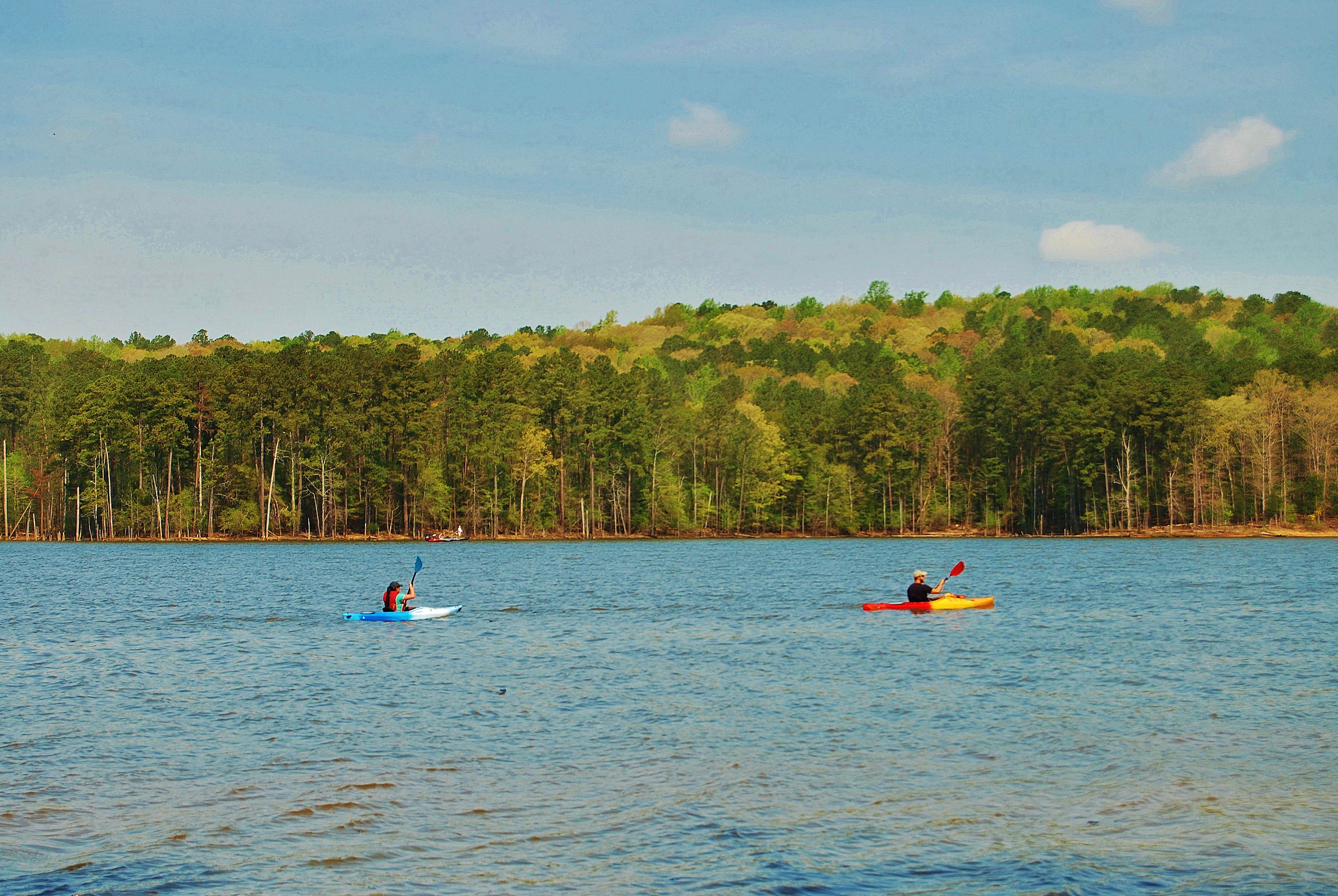 Camper submitted image from New Hope Overlook Primitive Campground — Jordan Lake State Recreation Area - 5