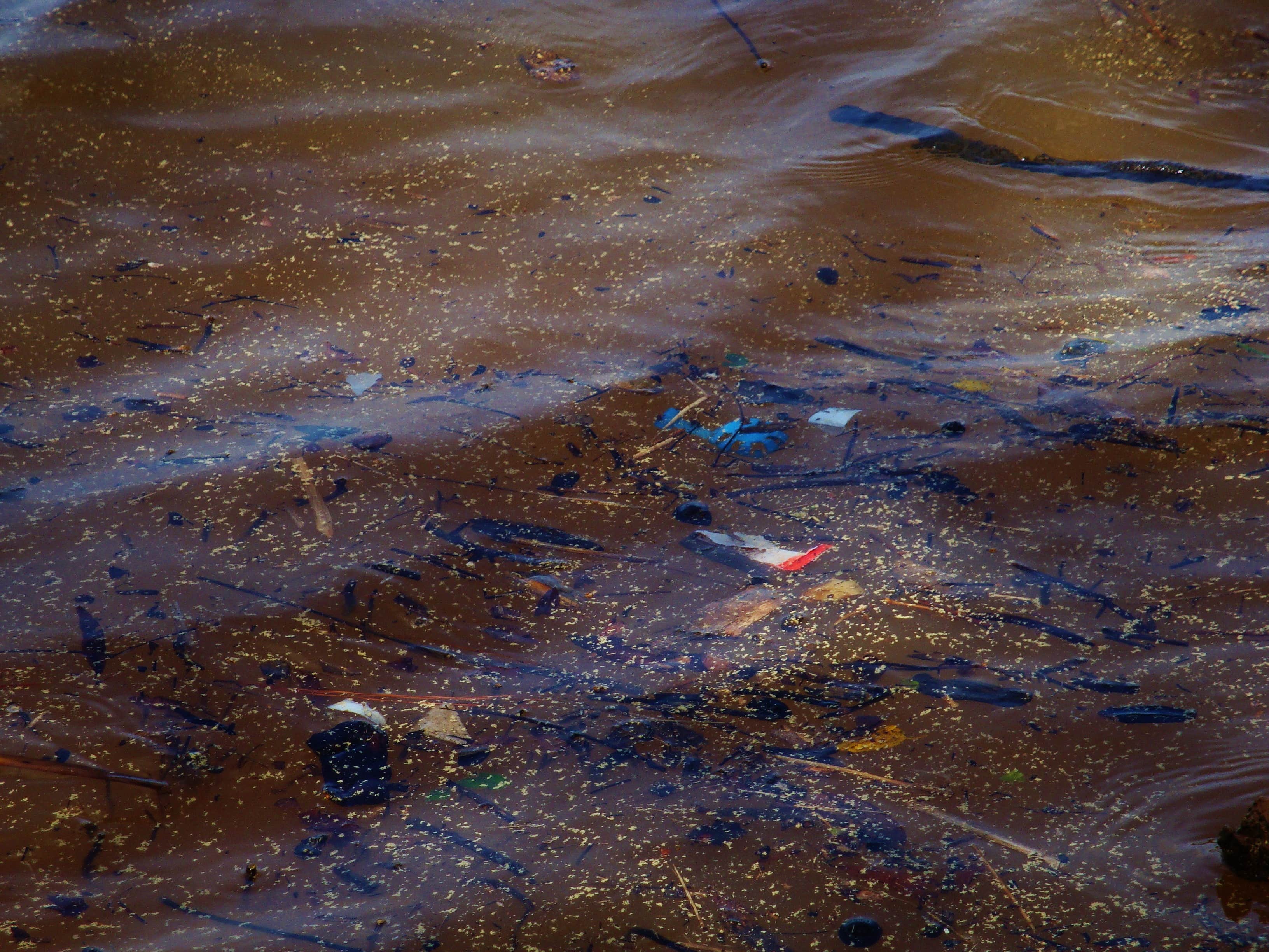 Camper-submitted photo at New Hope Overlook Primitive Campground — Jordan Lake State Recreation Area near B. Everett Jordan Lake
