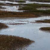Review photo of Atlantic Beach Campground — Fort Clinch State Park by Suzie F., May 6, 2019