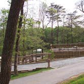 Review photo of Amicalola Falls State Park Camping by Suzie F., May 6, 2019