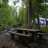 Review photo of Top of Georgia Airstream Park by Kelsey G., May 7, 2019