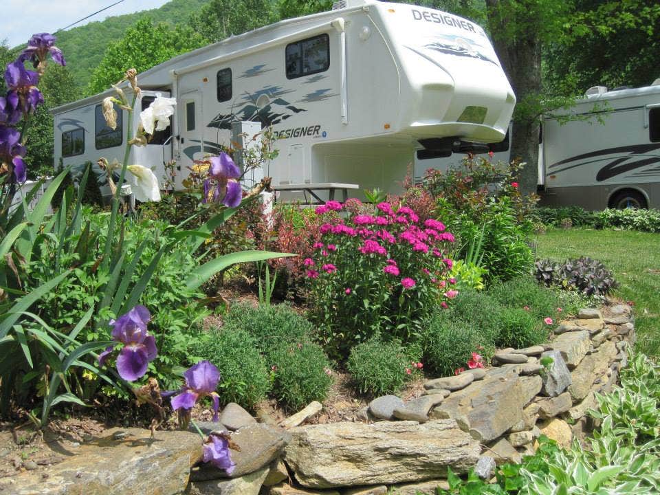 Camper-submitted photo at Buck Hill Campground near Linville Falls, NC