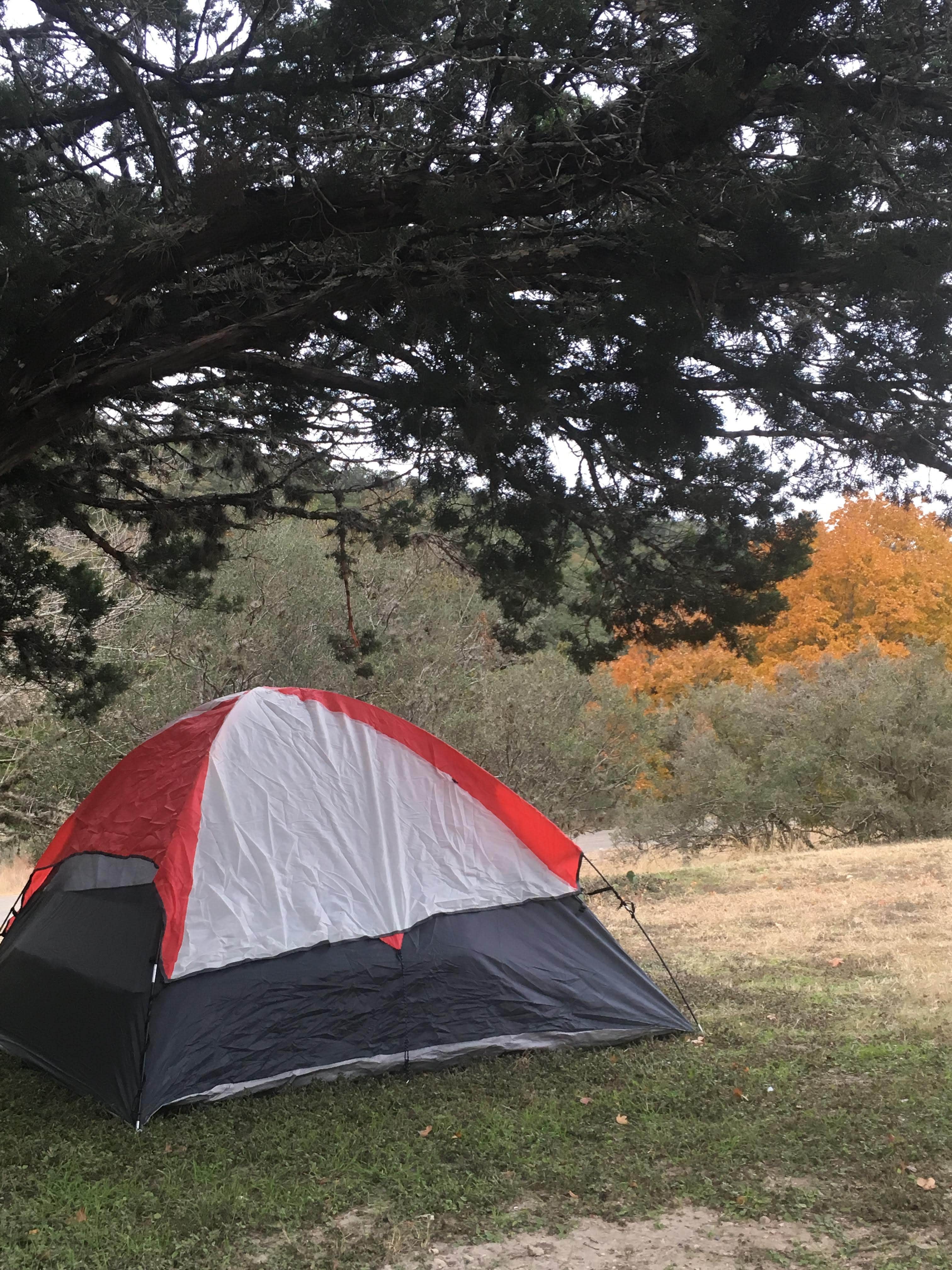 Mickie B.'s photo at Lost Maples State Natural Area Campground near Vanderpool, TX