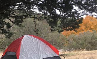 Mickie B.'s photo at Lost Maples State Natural Area Campground near Vanderpool, TX