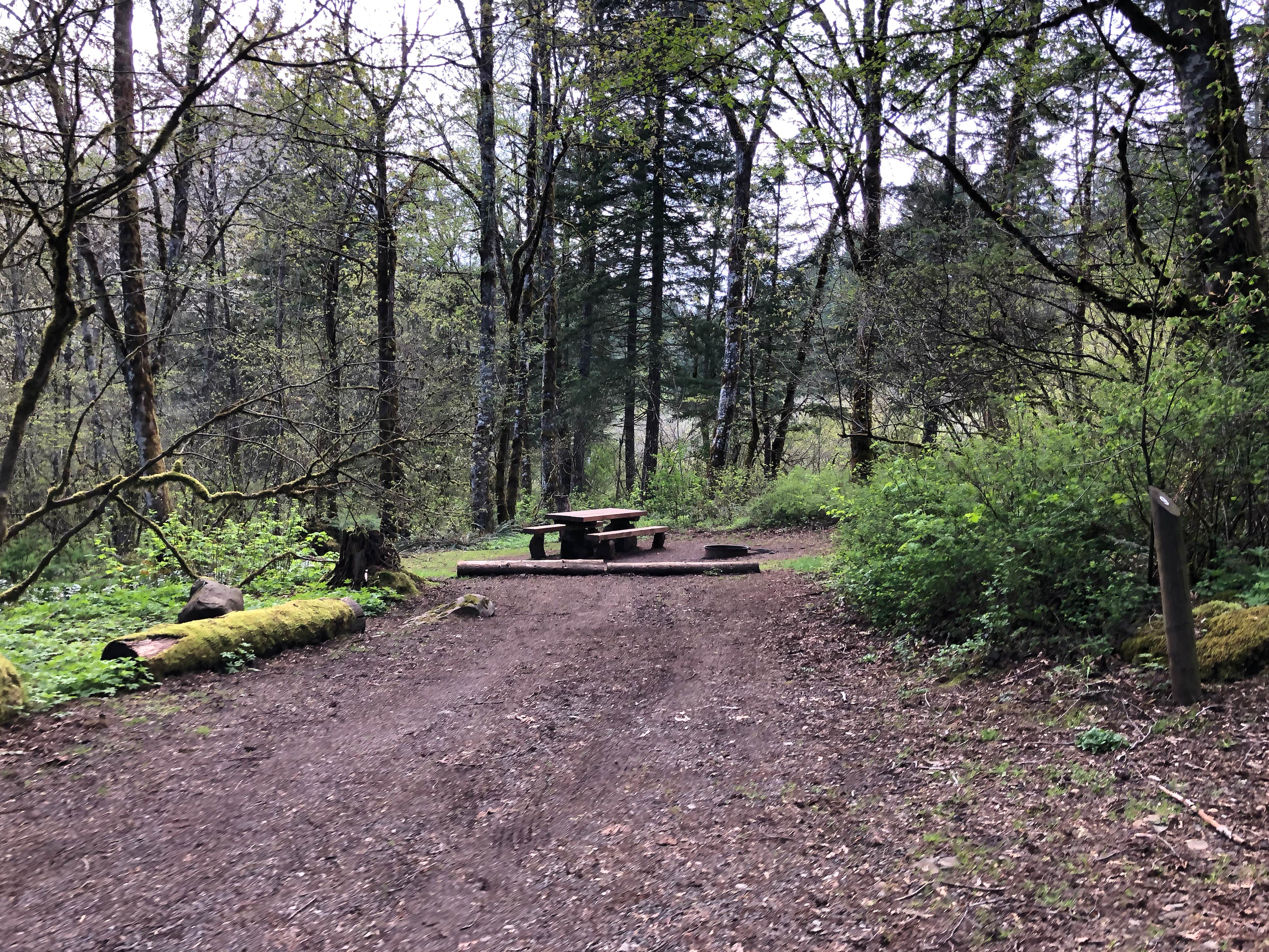 Camper-submitted photo at Beacon Rock State Park Campground near Cascade Locks, OR