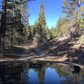 Review photo of Holcomb Valley Campground by Jo R., August 29, 2016